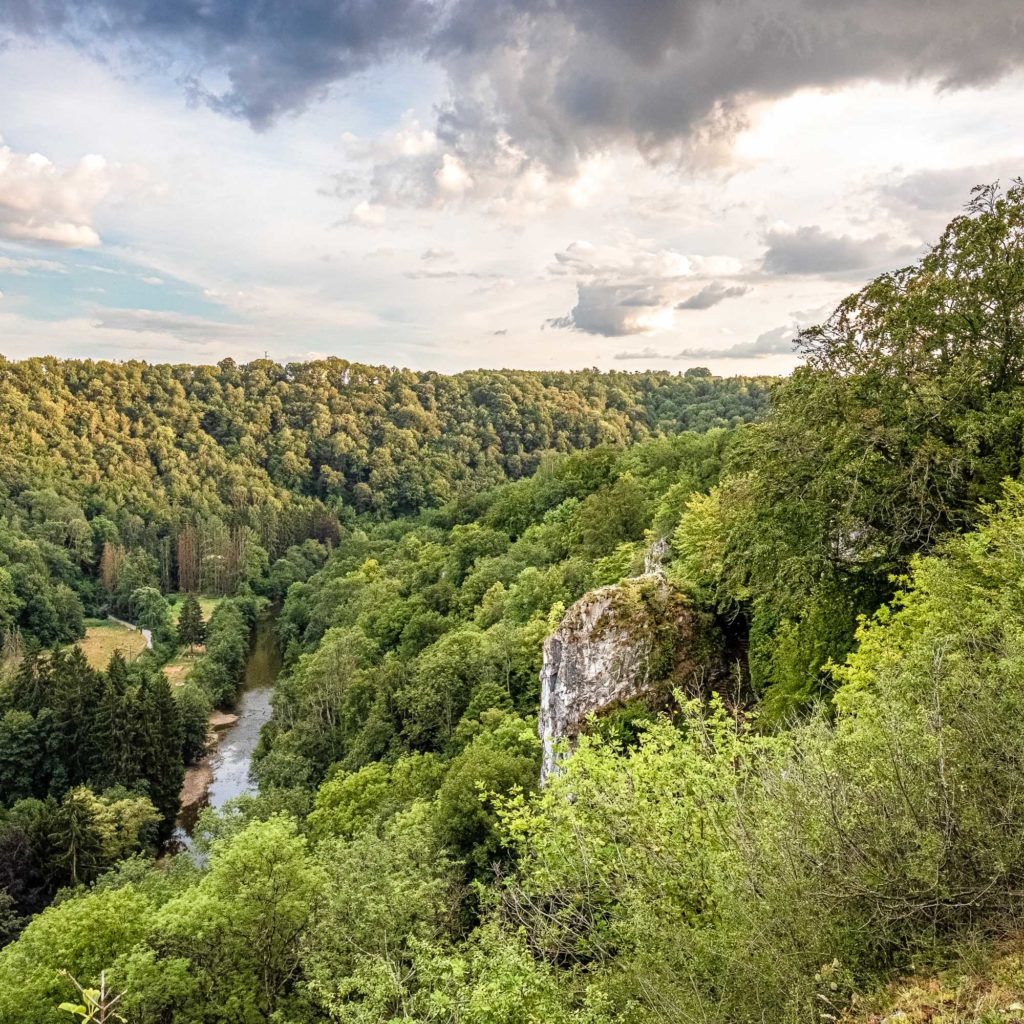Vue panoramique sur la vallée de la Lesse de la réserve naturelle de Furfooz - Parc de Furfooz