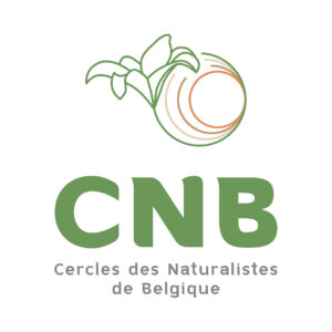 Logo CNB