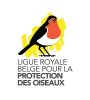 logo LRBPO WEB Furfooz_Plan de travail 1